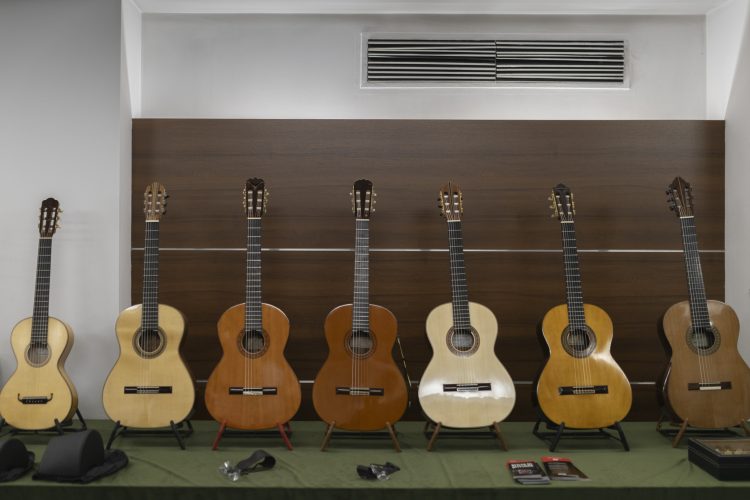 Prezentacja gitar